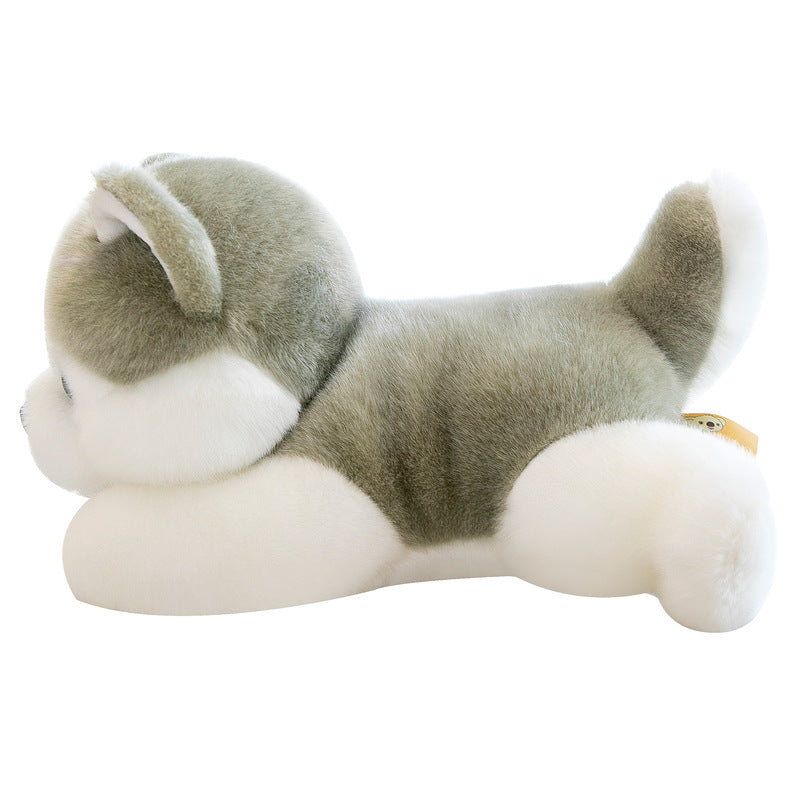 Husky Plush Doll