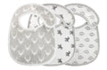 Waterproof Drool Bib Set (3-Pack)