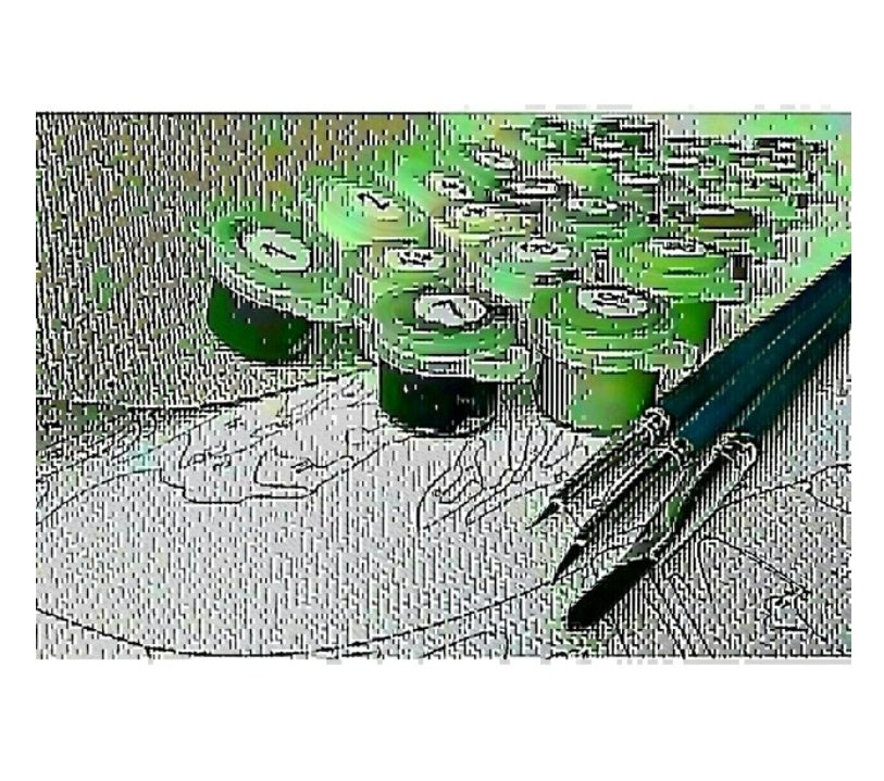 Wolf Paint-by-Numbers Kit
