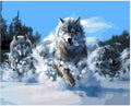 Wolf Paint-by-Numbers Kit