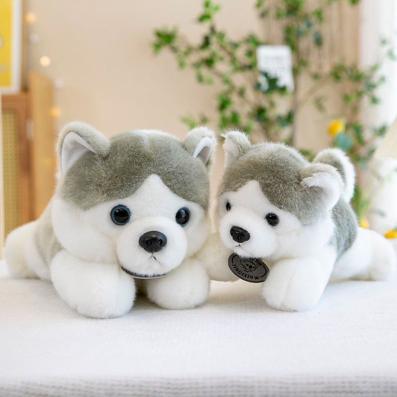 Husky Plush Doll