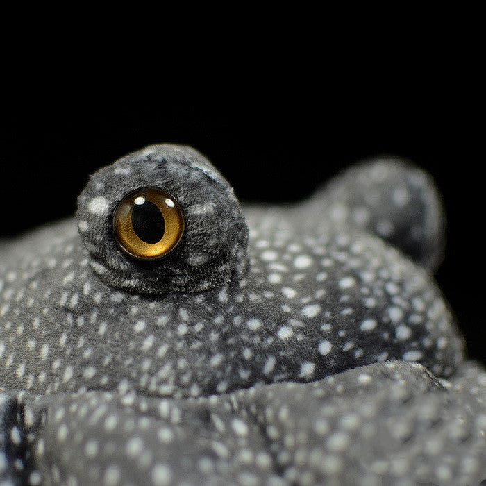 Realistic Sea Animal Plush Toy
