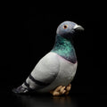 Soft Pigeon Plush Doll