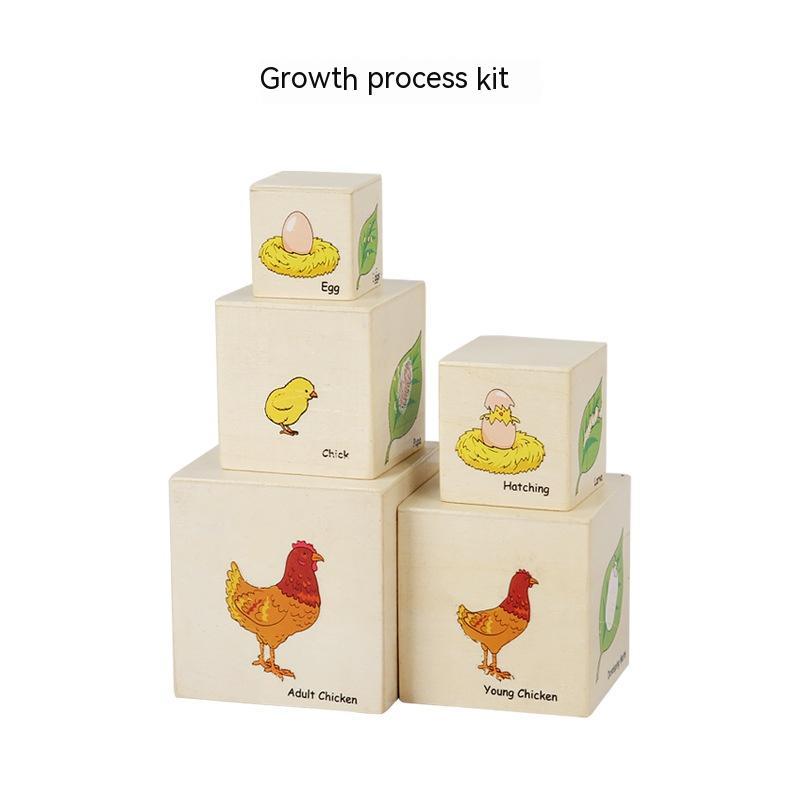 Wooden Number & Planet Stacking Set